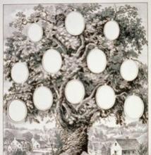 roots