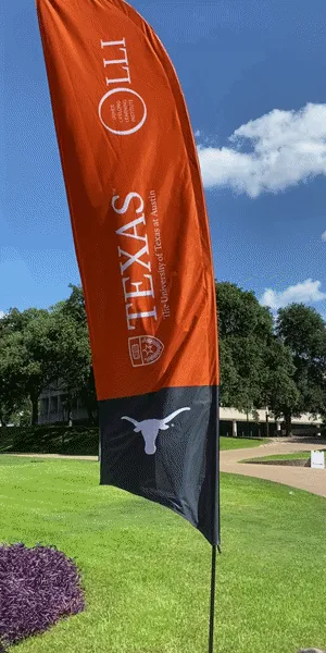 OLLI flag waving in the wind