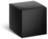 black box
