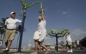 Five habits can reduce dementia risk